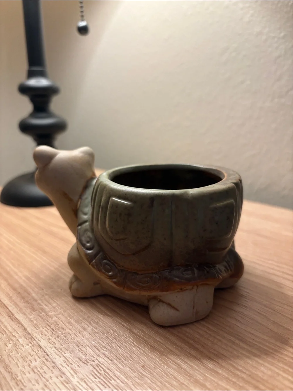 Turtle pot